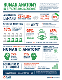 Human Anatomy Infographic